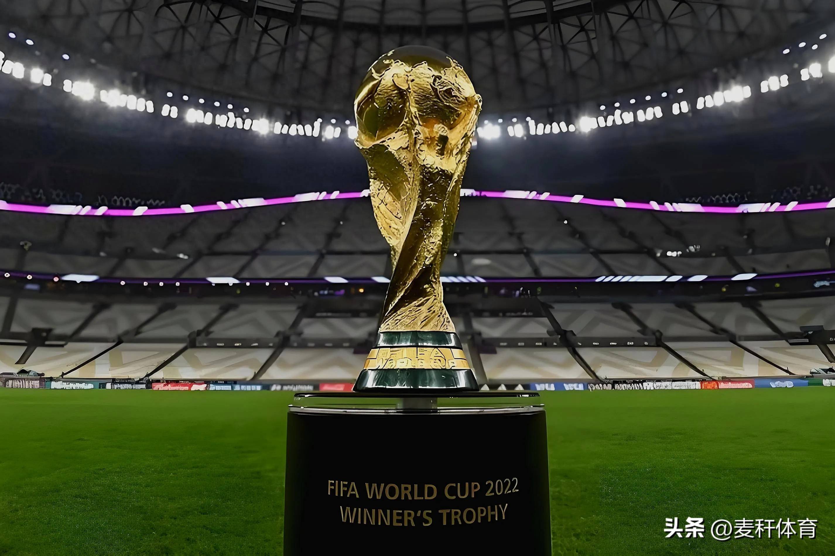 他并非泼冷 他并非泼冷